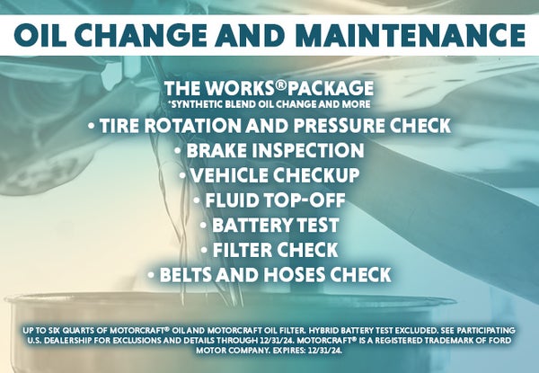 The Works Package: Synthetic Blend Oil Change & More